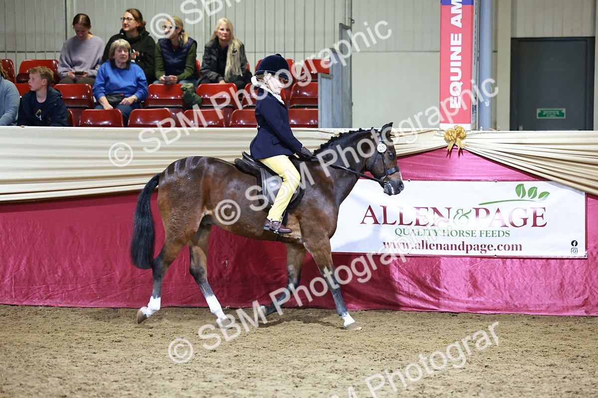 SBM_20556 - Class H - IH Competition - Riding Club champ