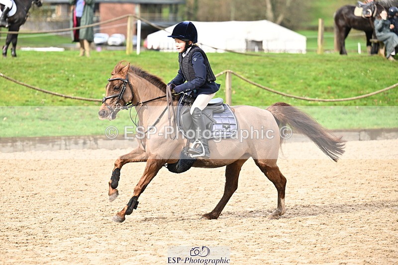 260222A-114859-00733 - 50cm All sections