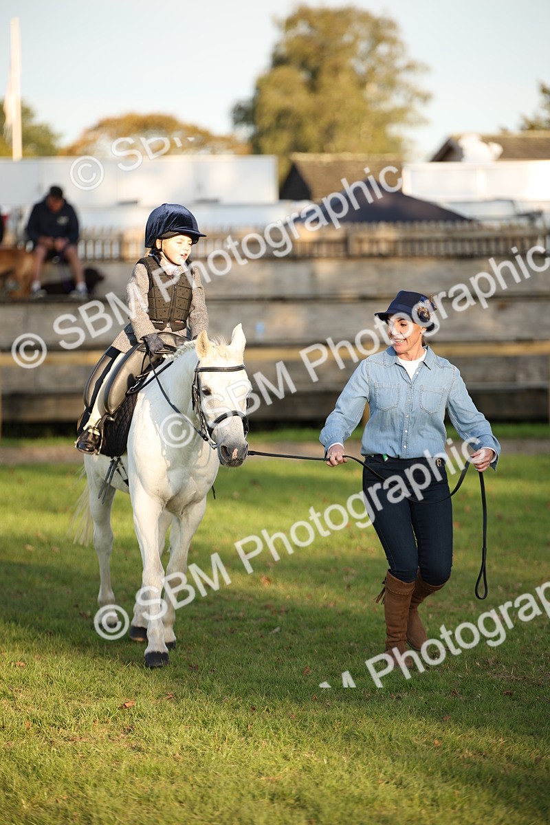 SBM_54479 - S27 - Mature Veteran - Ridden