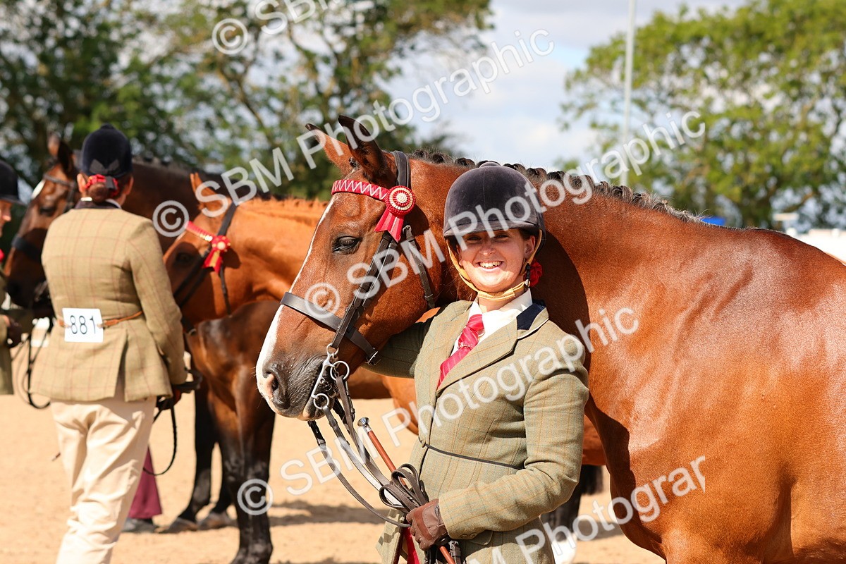 SBM_11746 - Class 208 - IH Veteran Horse