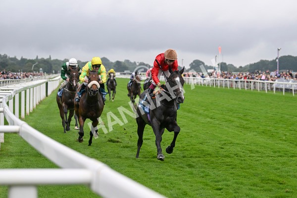 080924-Race 3-Brighton Boy-9059 - Race 3 2.50pm Irish Thoroughbred Marketing Nursery Handicap