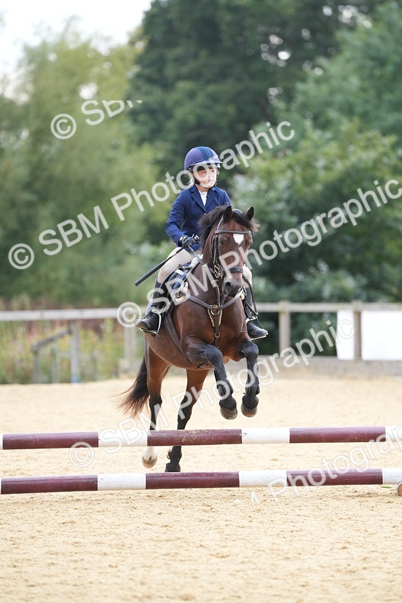 SBM_74634 - J4 - Mini Tour Junior Pony 45cm Championship