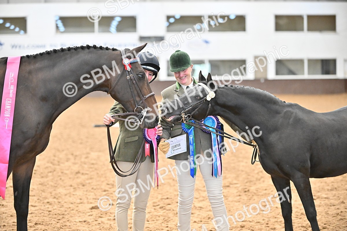 SBM_000750 - Class 14 - SSADL In Hand Championships
