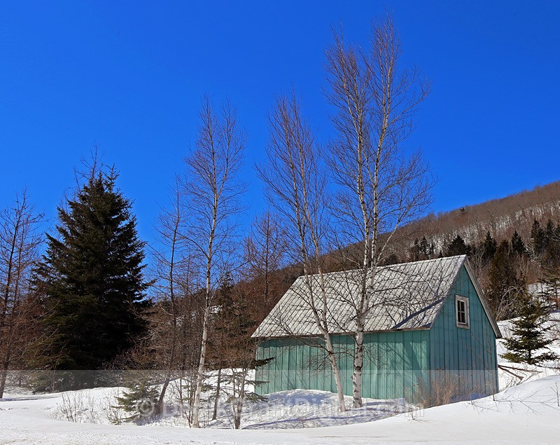 Country Cabin - Winterscape