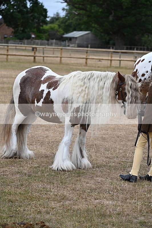 WJ6_8206 - Class 10 Coloured in Hand