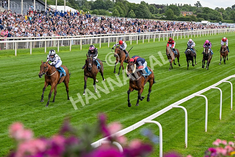 130626-Race 1-Dunkeld Dreamer-0319 - Race 1 13.50pm Queen Mother's Cup Handicap