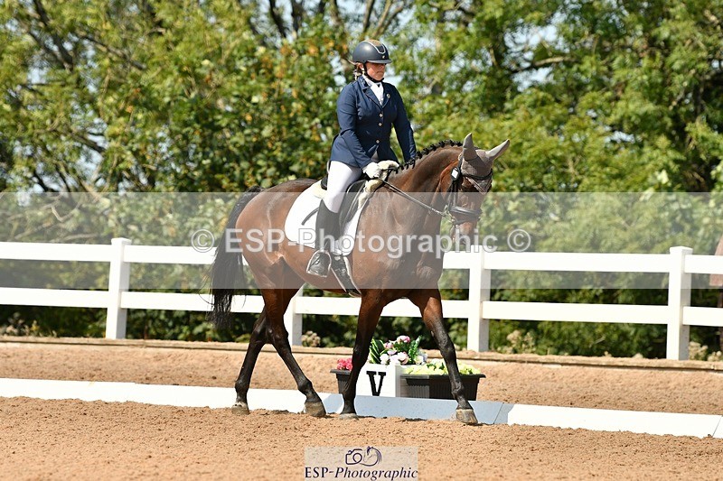 250817-133851-10010 - 033-Frankie.TorodeFirst.Impression.VI