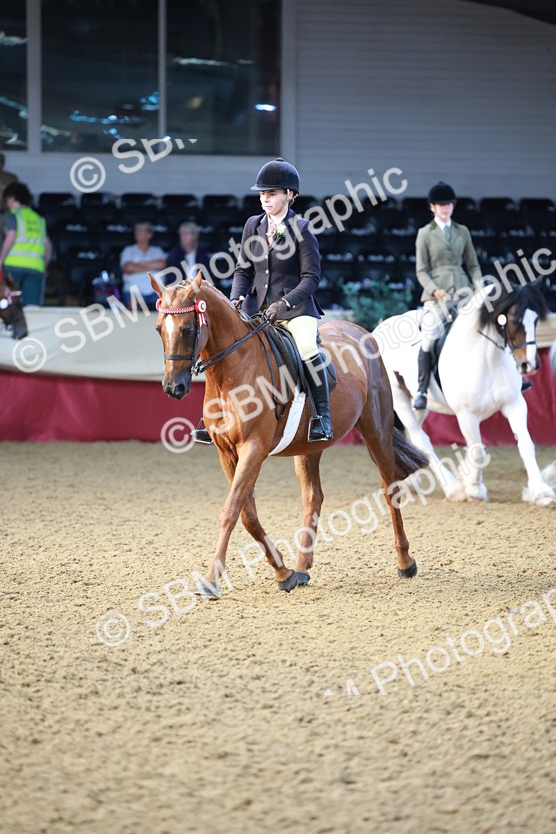 SBM_11835 - Class 102 - Equitation (Best Rider) Adult