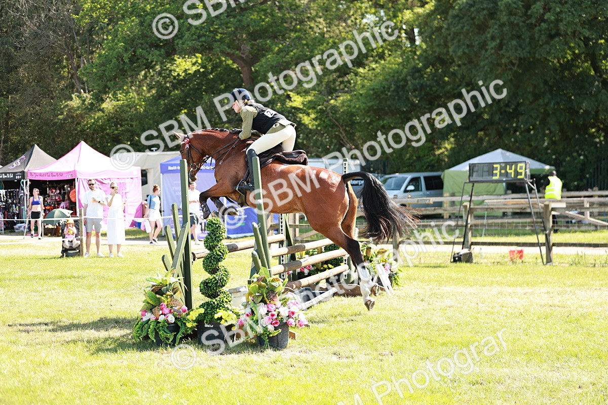 SBM_18816 - Class 114 - RIHS & SEIB Open Working Show Horse