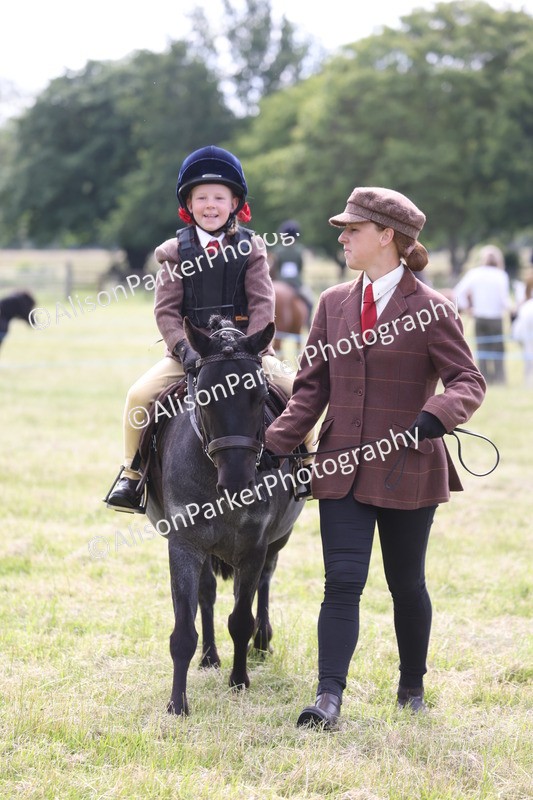 20260614-0570 - Class 20 - Beginners Working Hunter Pony
