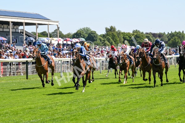 110725-Race 2-Sayidah Dariyan-4101 - Race 2 2.45pm William Hill Summer Stakes