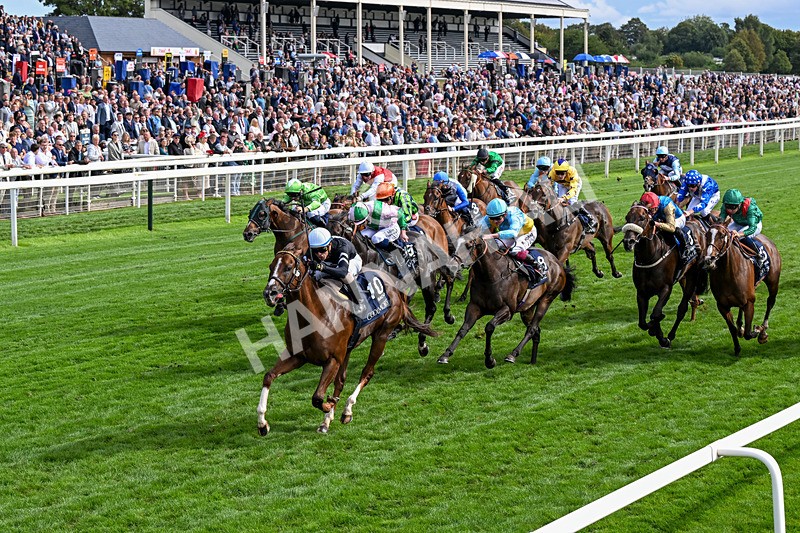 210826-Race 4-Bacio-0248 - Race 4 15.35pm Coolmore City Of Troy Nunthorpe Stakes