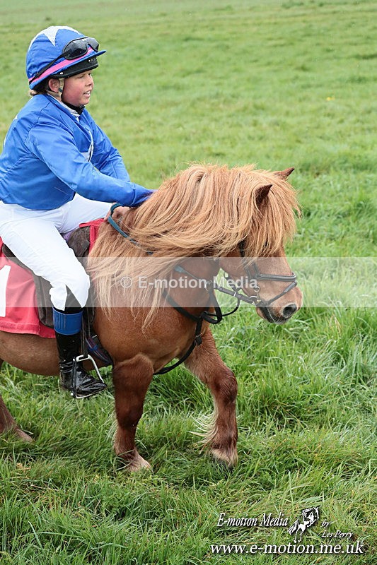 SHETPR 210425 256 - Shetland Ponies Paxford Races 21/04/25