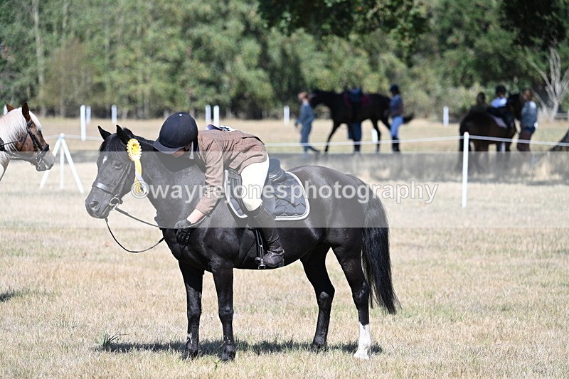 WJ7_4164 - Class 9 Mountain & Moorland Ridden