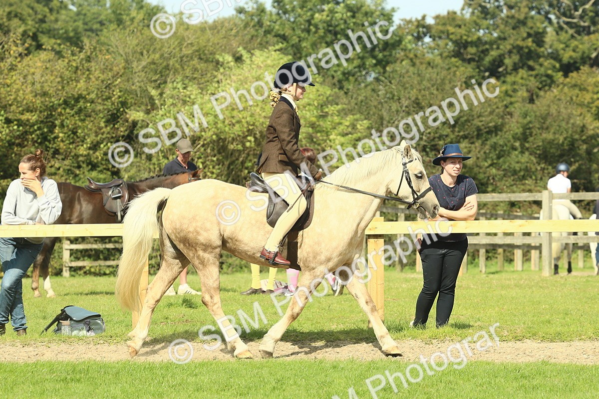 SBM_67418 - S56 - Coloured Pony Ridden