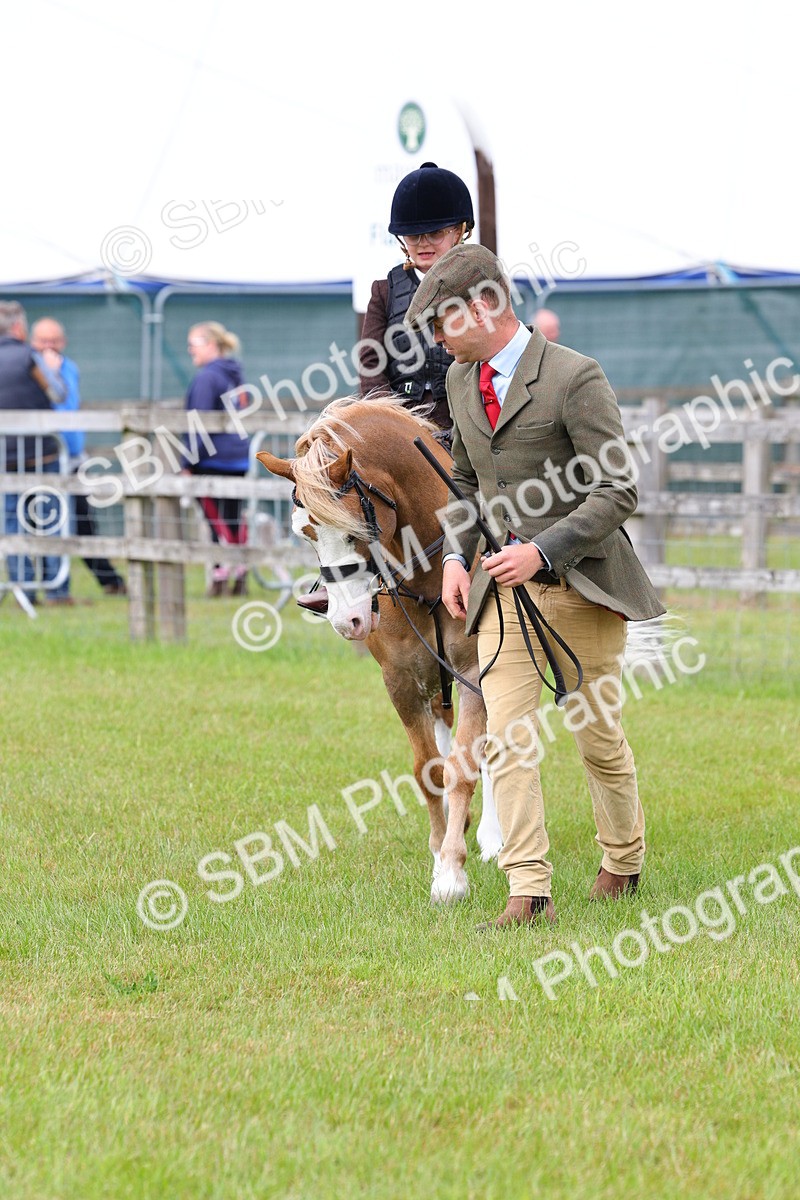 SBM_08174 - Class 42-43 - LIHS BSPS Heritage Working Sports Pony