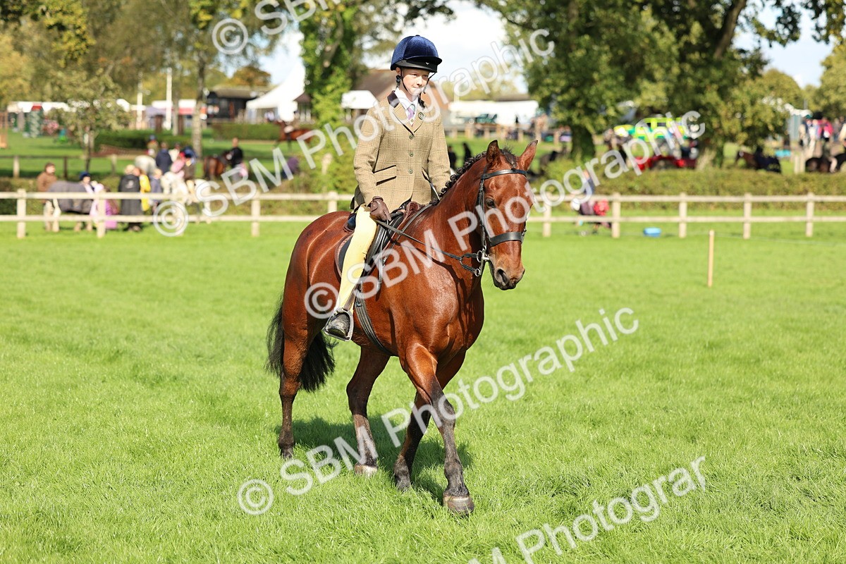 SBM_45494 - S33 - Working Hunter Pony