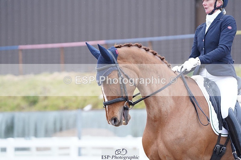 250214-133132-02313 - 173-Stef.Eardley-Infinity.IV