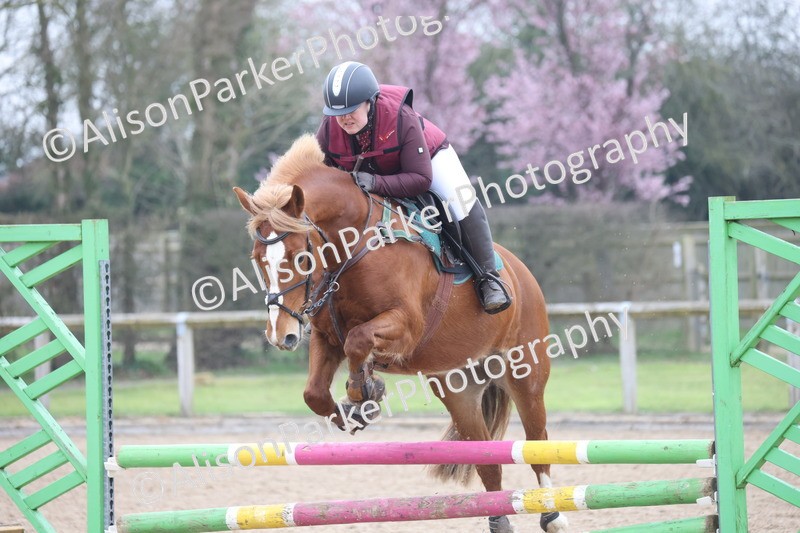 20260308-0795 - Class 3 - 80cm