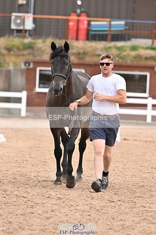 250716-160022-02331 - Trot Up 3.30 to 4.30