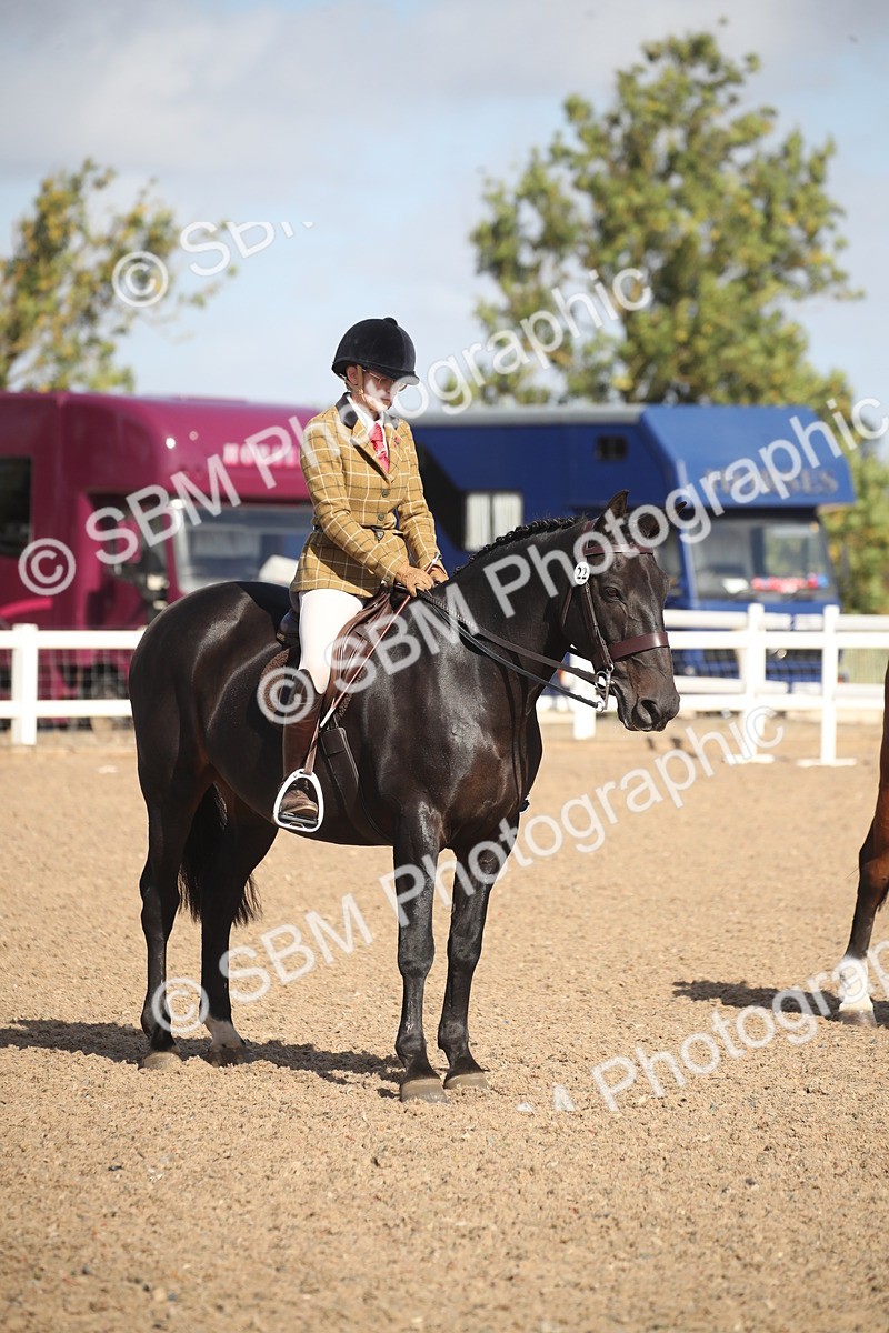 SBM_22835 - Class 602 - 2026 Area - Ridden Veteran