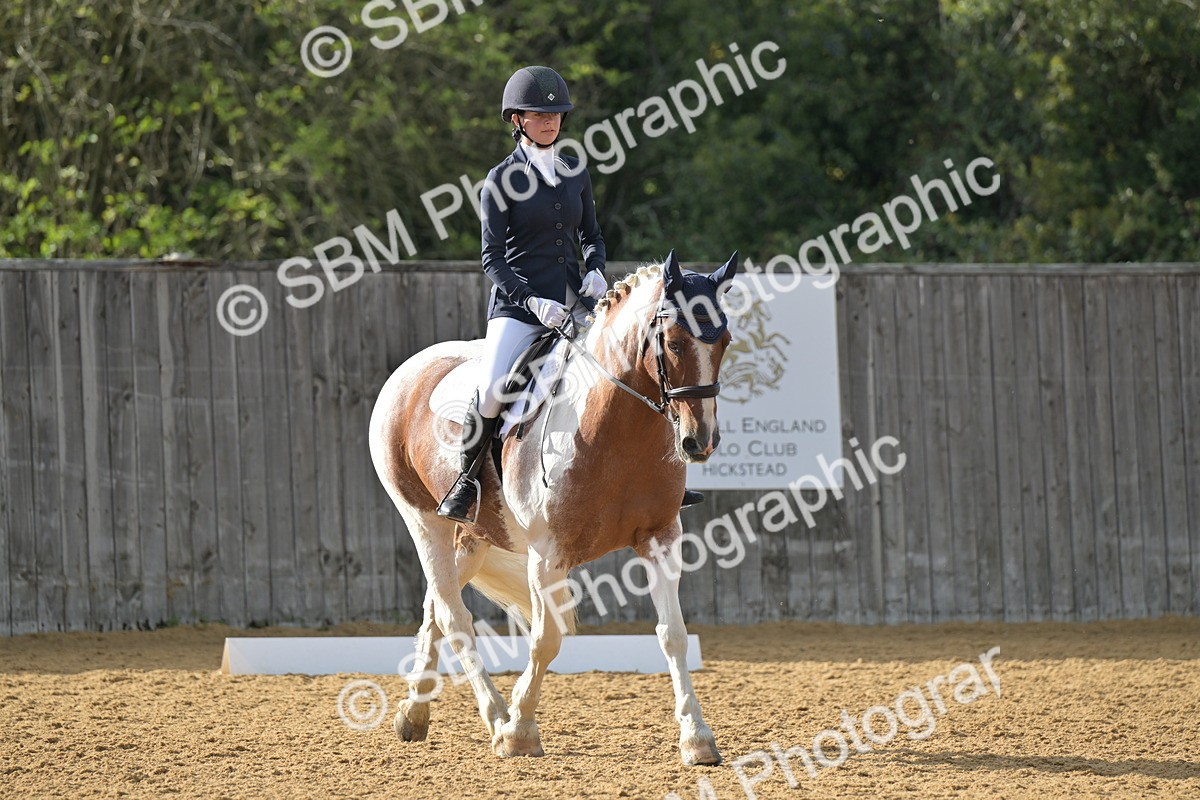 SBM_12928 - D3 - Small Tour Championship Intro 3