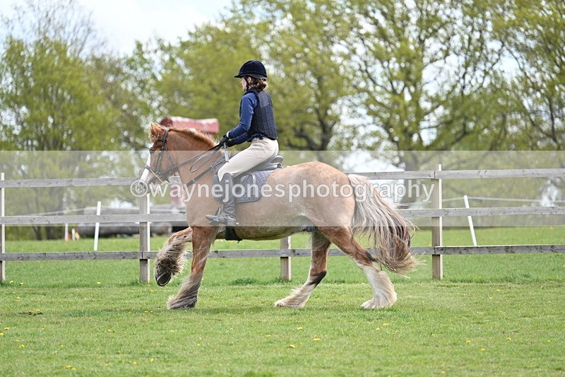 WJ7_6374 - 60cm Time 11:12 to 11:36