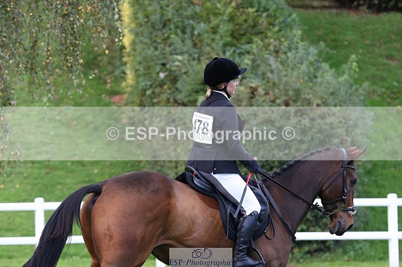 231022-132506-27701 - 478-SOARING.HEIGHTS-Samantha.Shaw-TrotUp+SJ