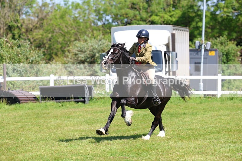 3E7A6775 - Working Hunter Pony Championship