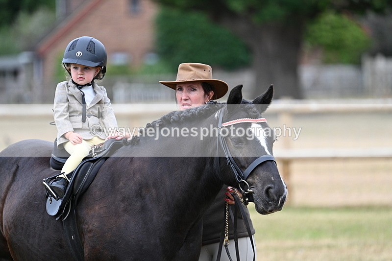 WJ7_9737 - Class 1 Lead Rein Pony
