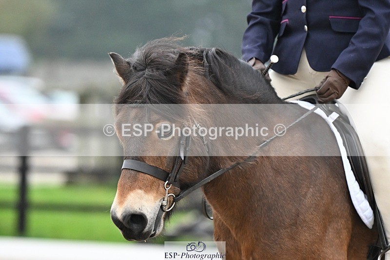 241103-084648-00059 - Intro 3 - 8.30 to 9.30