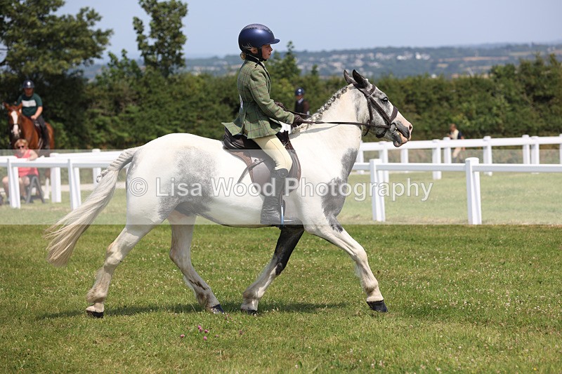 JPP_3255 - Class 22: Working Hunter 70cm