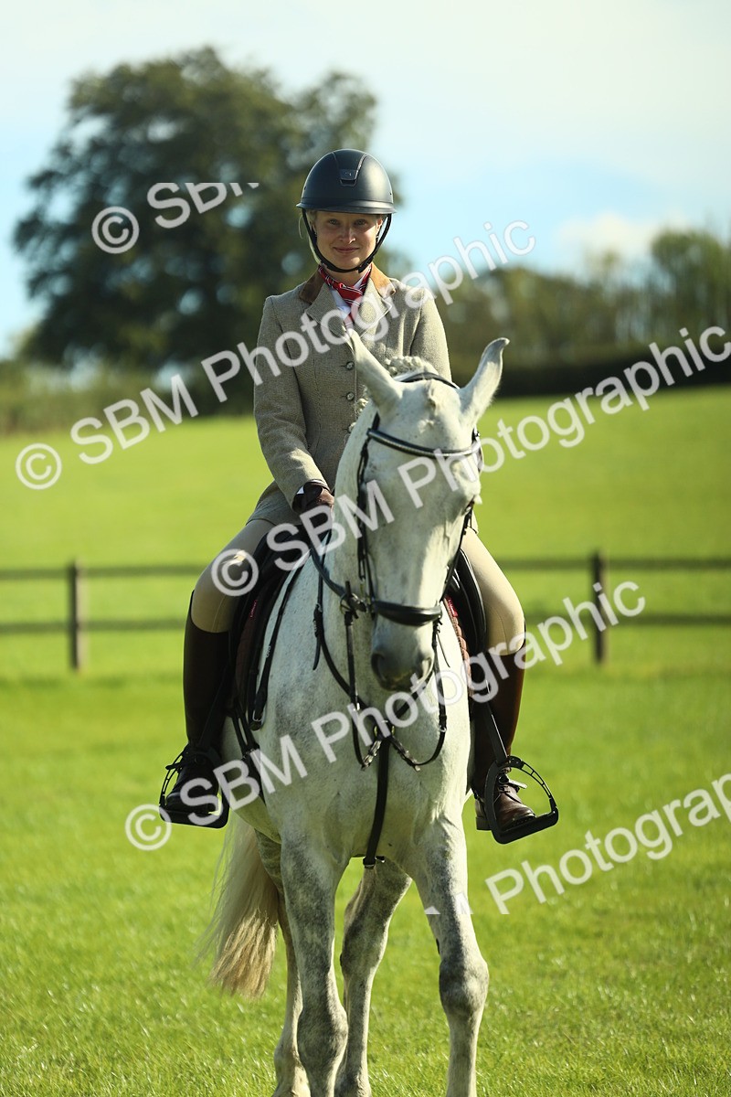 SBM_49890 - S32 - Novice & Newcomers Working Hunter