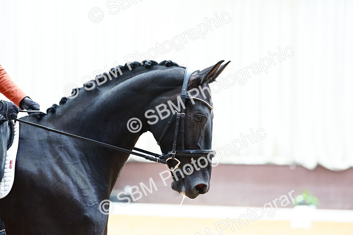 SBM_003100