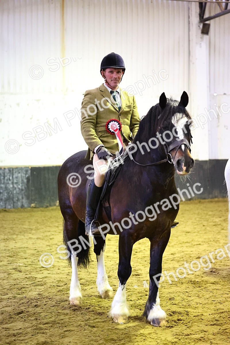 SBM_006640 - Class 43 - RIHS Qualifier Exceeding 43cms