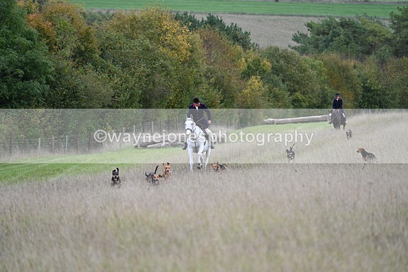 WJ7_3548 - Camera 1 Line 1