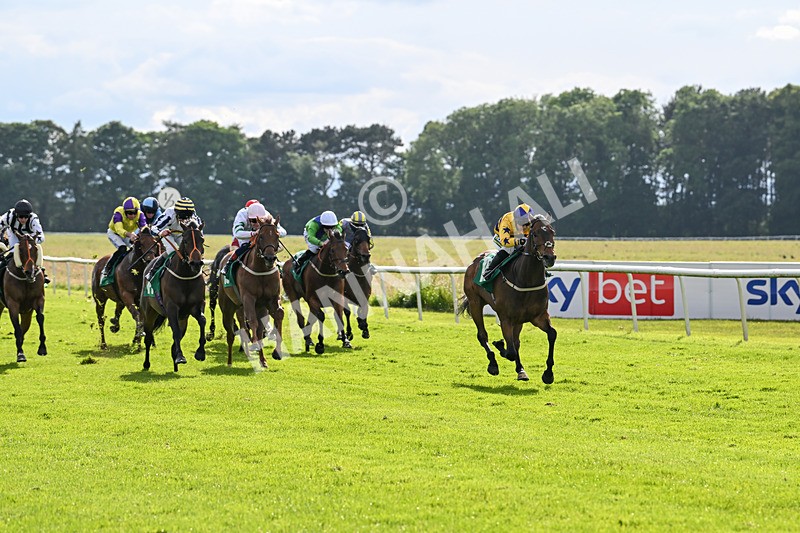 160624-Race 5-American Affair-8948 - Race 5