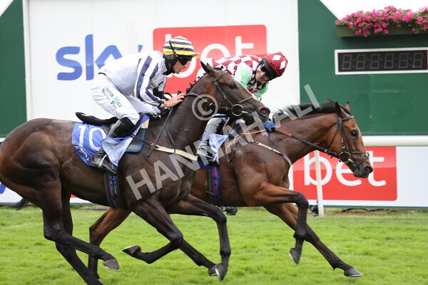 yr24072021r1-81 - Race 1 2.05pm Sky Bet Jump Jockeys Nunthorpe