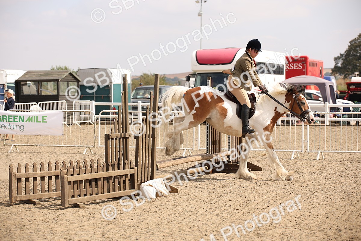 SBM_14283 - Class 407b - Working Veteran 60cm (20+)