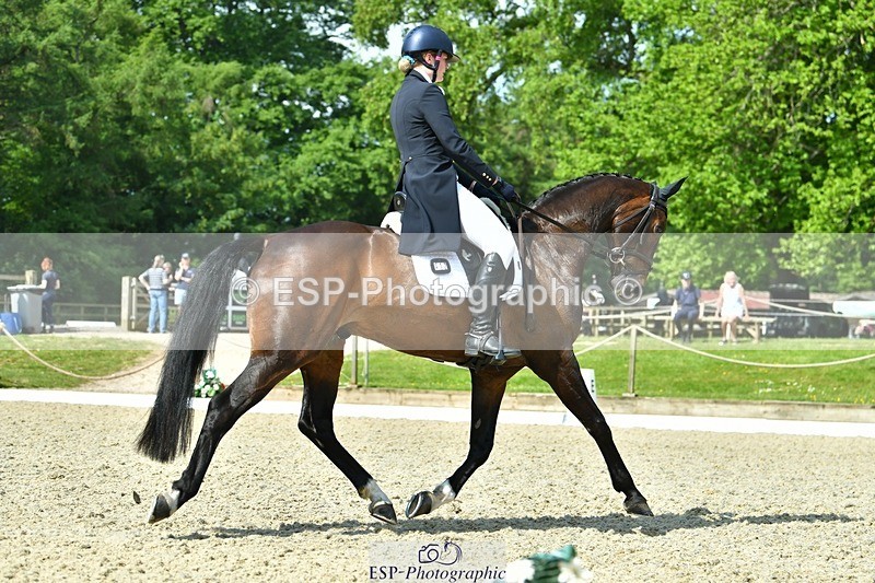 230525-102452-03891 - 412-SAN_SOLO-Imo_Brook-DR