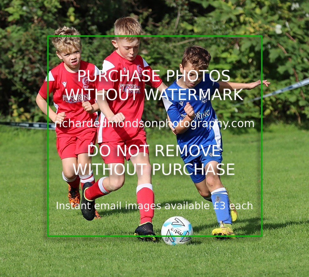 IMG_4861 - Ibis U9 v Ibis United U9 (Saturday 24 September)