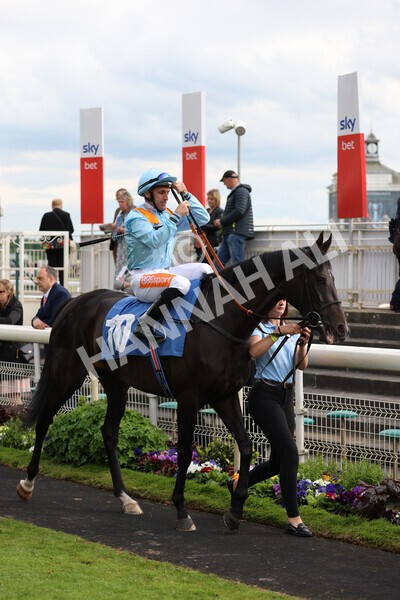 yr22052022r6-8 - Race 6: 6:05pm Sky Bet Sunday Series Stayers Stakes