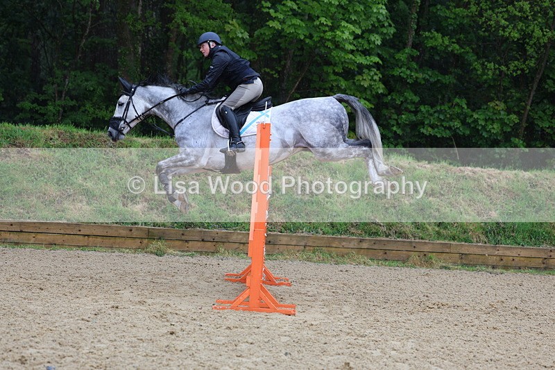 3E7A7396 - Class 8: Senior Foxhunter/1.20 open