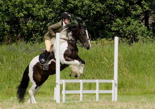 82 - Moniaive Horse Show 2008
