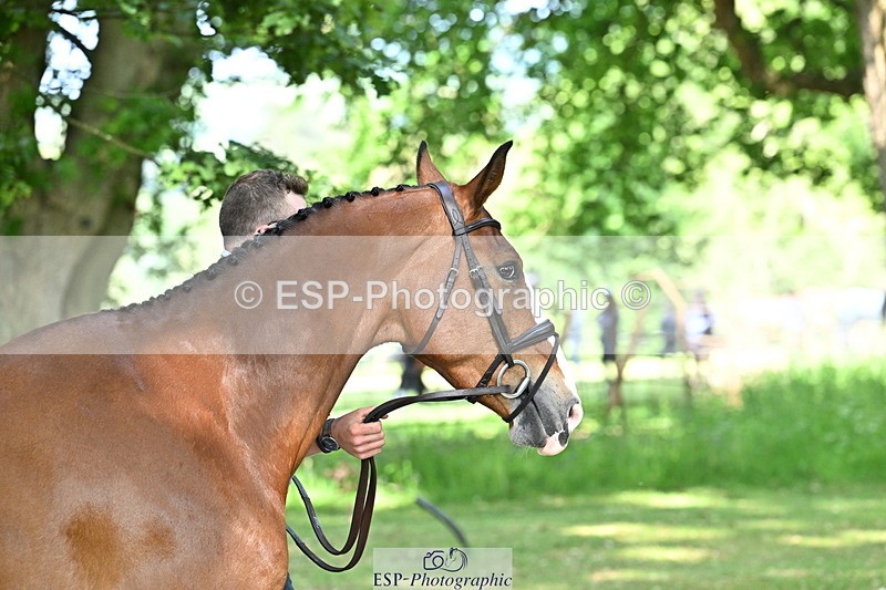 250521A-164540-01315 - C-257-Mark.Davidson-NO.LIMITS.DAMERLOO