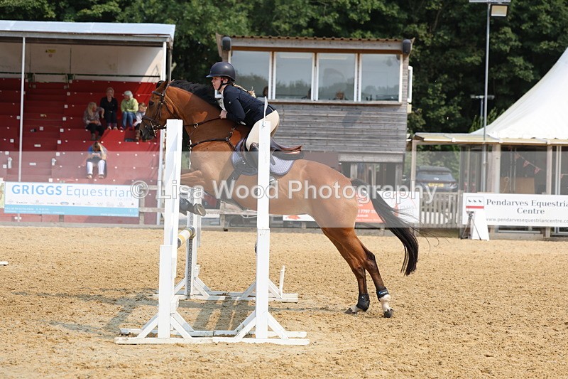 3E7A1421 - Class 4: Senior British Novice/90cm open