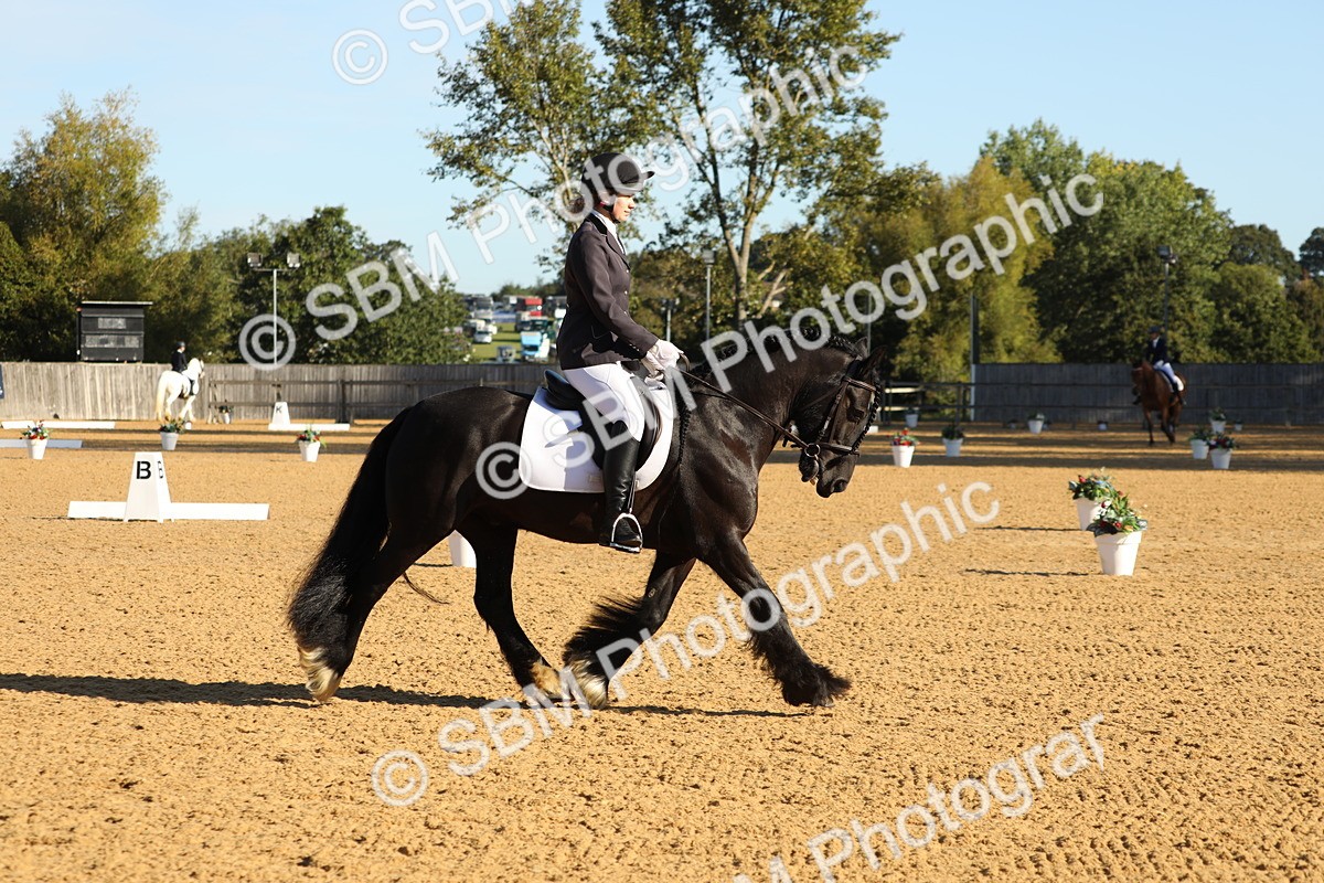 SBM_16415 - D10 - Small Tour Championship - Prelim 2
