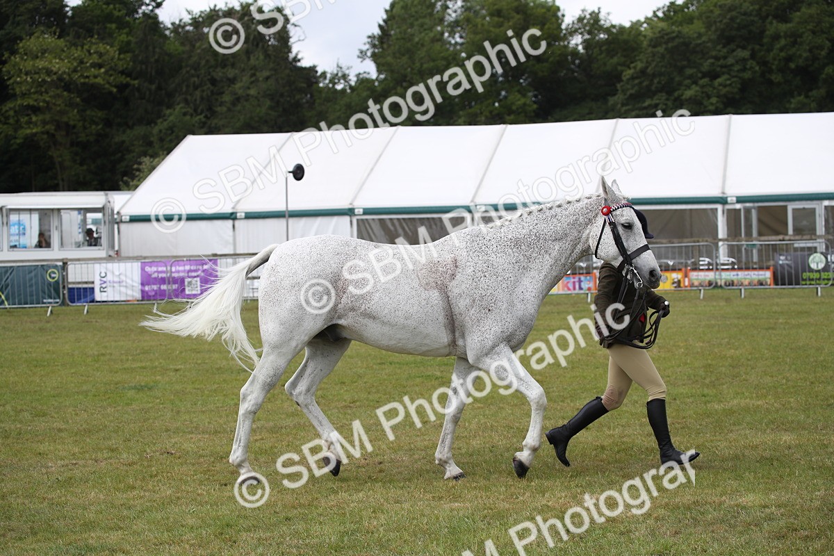 SBM_13258 - Class 95-96 - LIHS BSHA Rising Star Hack Riding Horse
