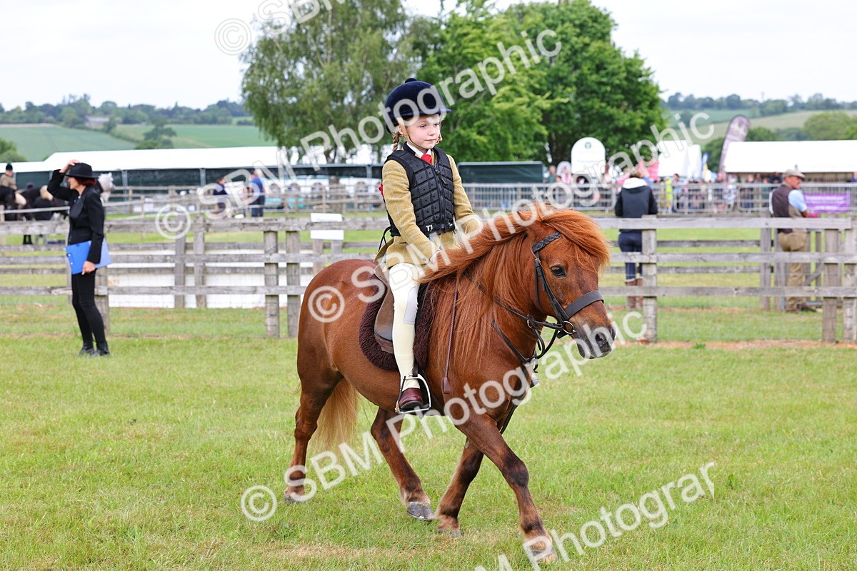 SBM_08570 - Class 42-43 - LIHS BSPS Heritage Working Sports Pony
