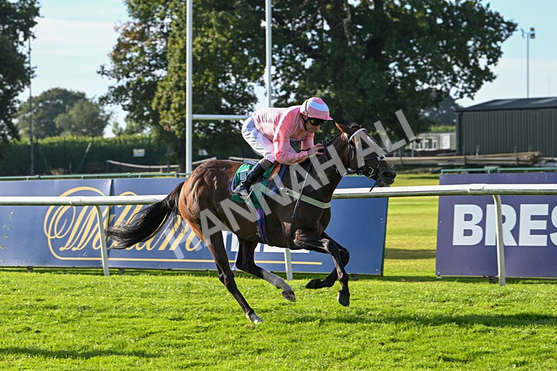 160924-Race 7-Style Of Life-3274 - Race 7